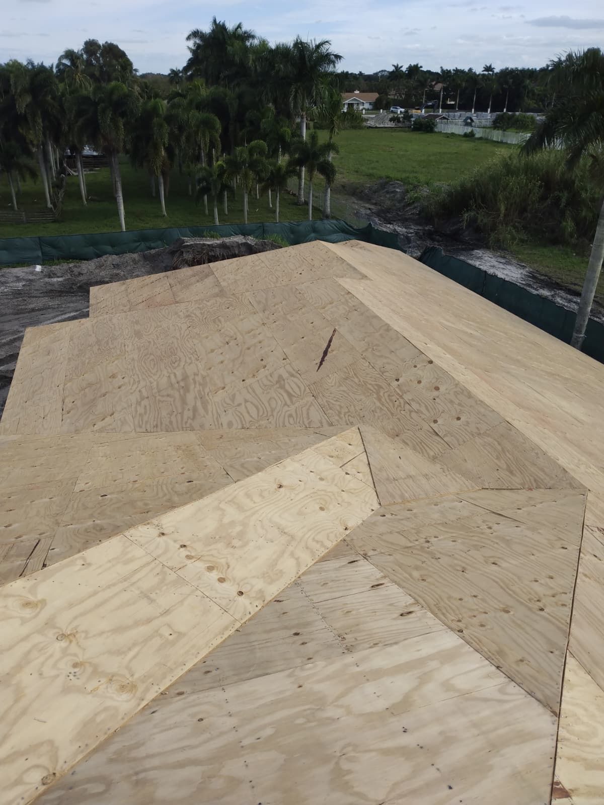 New plywood roof deck sheathing